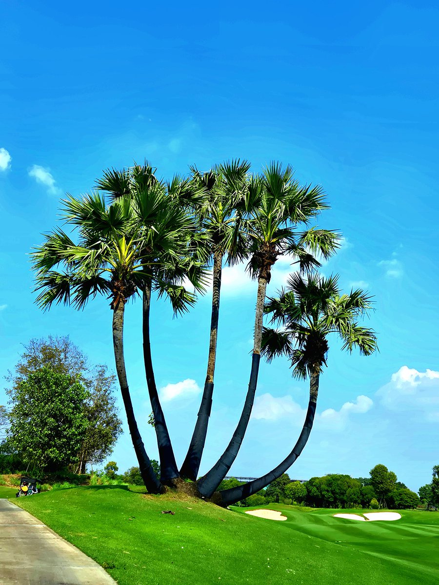 khj_heneciatwt's tweet image. 태국으로 휴가를 왔습니다. 단순한 골프여행인데 날씨가 자연이 아름다운 나라입니다. 혼자 보기 아까워서 공유 좀 해드릴게요^^

#HENECIA #KIMHYUNJOONG #김현중 #キムヒョンジュン #金賢重