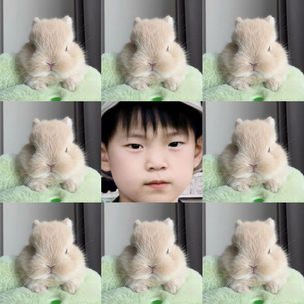 tipsyonseoul's tweet image. 도영 D-507

baby doyoung

#도영 #DOYOUNG