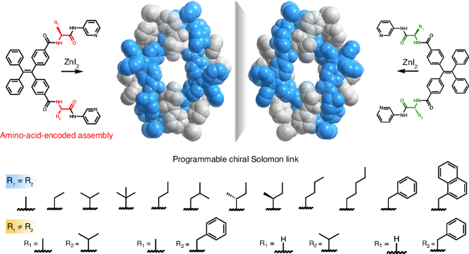 ChemistryNews's tweet photo. Amino-acid-encoded assembly of programmable chiral Solomon links https://t.co/hR2FGTaD6X https://t.co/rlVIKrp4Mc