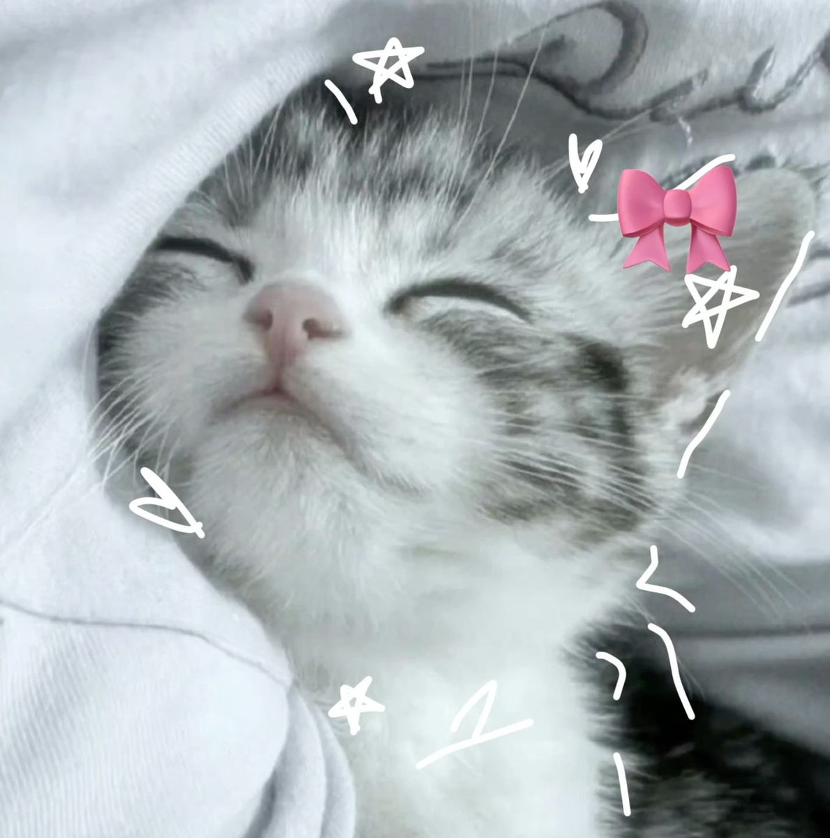 bigradders's tweet image. 母の手作り弁当のおかずが7品も入ってた。愛情感じる 🔪