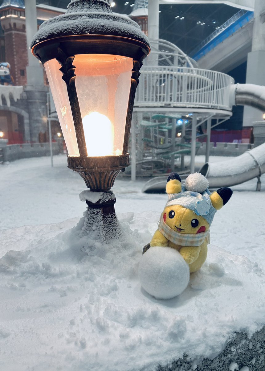 トマト豆太 (@tomatochibiz) / Posts / X