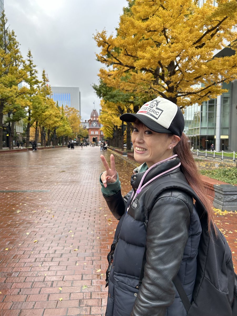 toc000's tweet image. まだ秋の道庁への並木道