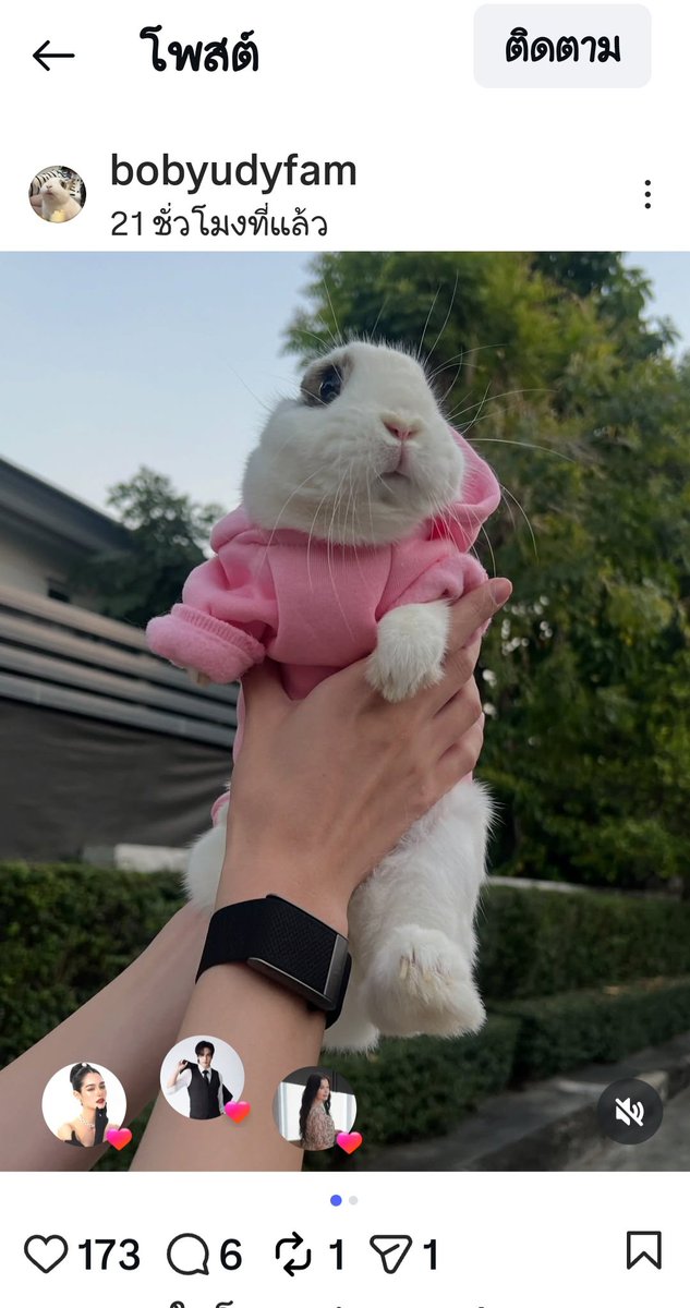 Ne61812Neeb's tweet image. โอนี่ทุกคนคือสุดมากง่าา555สายสืบฝุดๆ
ยันนาฟิกาคู่อ้ะเนอะเก่งอ่าเป็นโอนี่แล้วมันดีอย่างนี้นี่เองมีเรื่องฟินตลอดบ้านแดงเราน่าร้ากที่สุ่ดรักพีคมิ้นท์รักบ้านแดงโอนี่ตลอดไป😊🫶🤭♥️🥰

PEAKMINT WELCOME 2026
#พีคมิ้นท์ #PeakMint