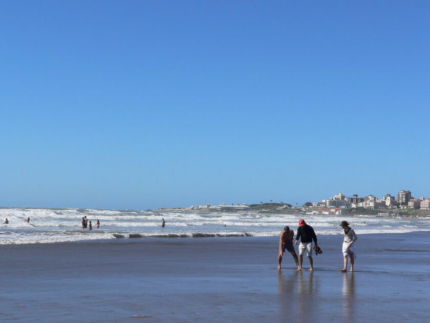 Cómo estará el clima en Mar del Plata este viernes 16 de enero
sinfiltro.ar/como-estara-el…