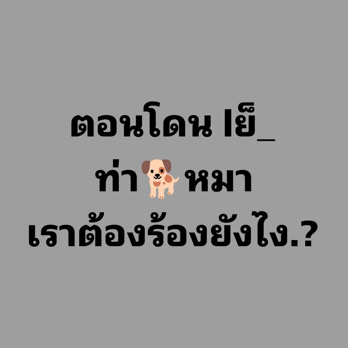 nok nissara tweet media