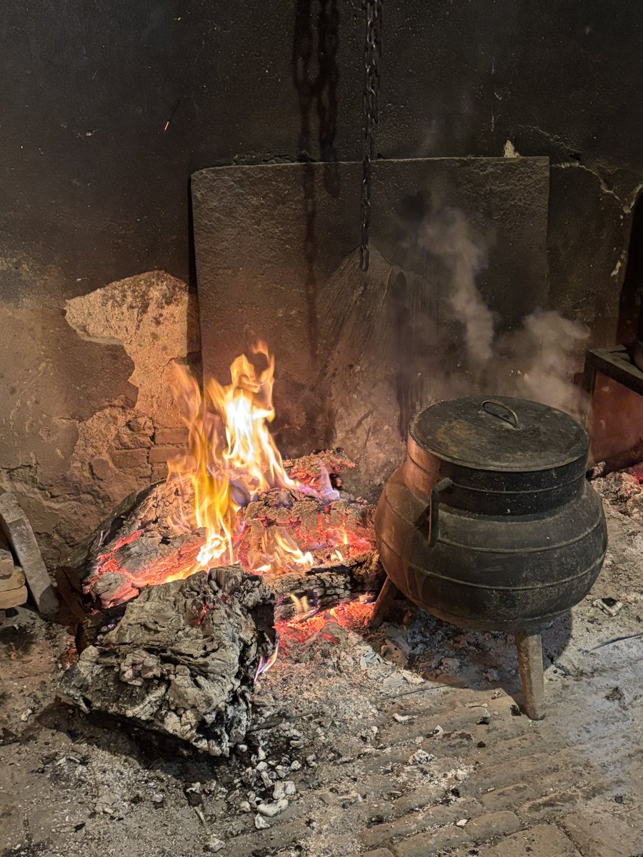 Tiempo de matanza en la dehesa extremeña. Aquí se matan como antaño cuatro cerdas ibéricas que han llegado al final de su vida reproductora después de vivir a placer en la dehesa. Su carne natural, sana y ecológica alimentará durante todo el año a cuatro familias.