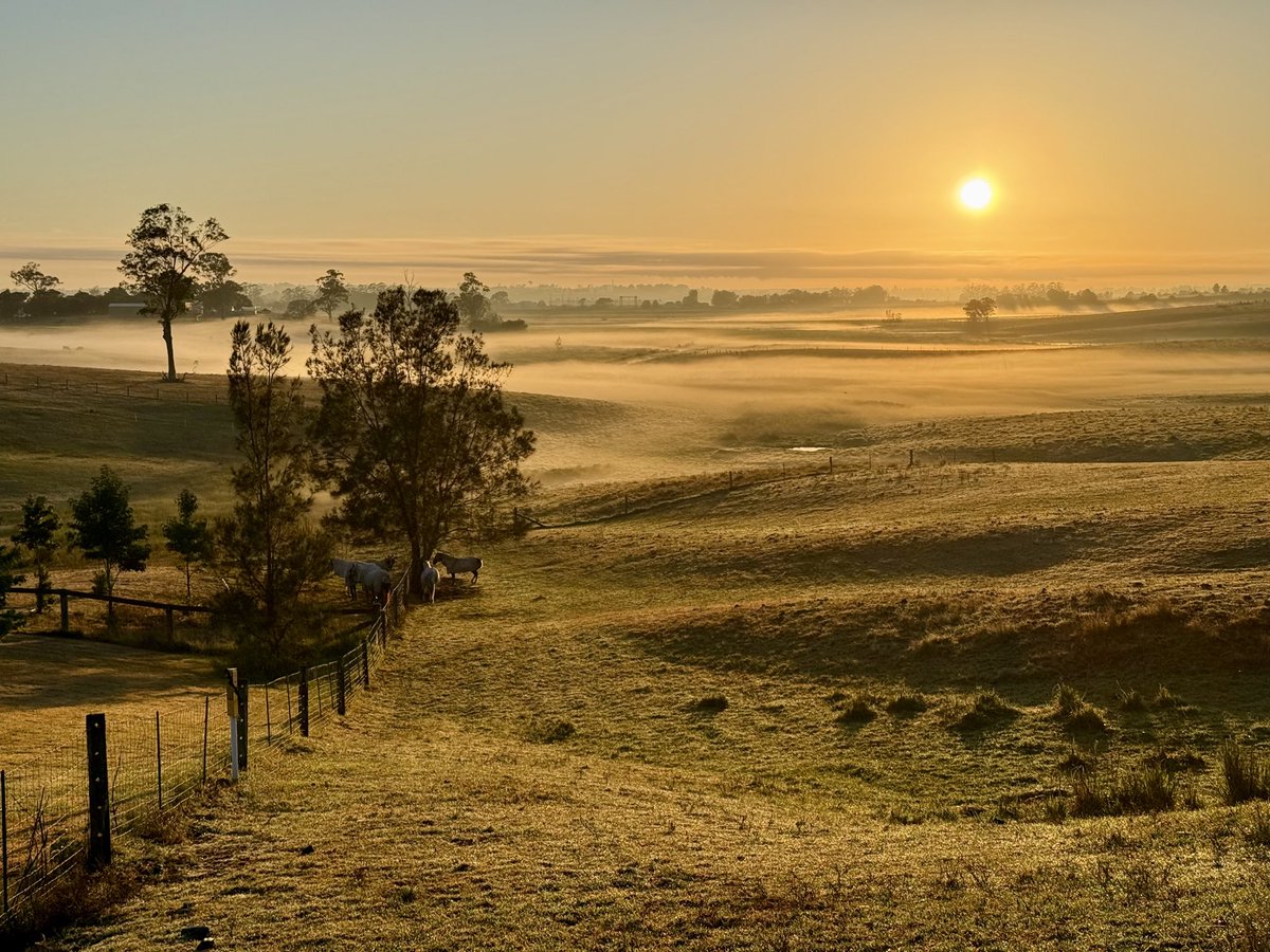 Greg Pitt tweet media