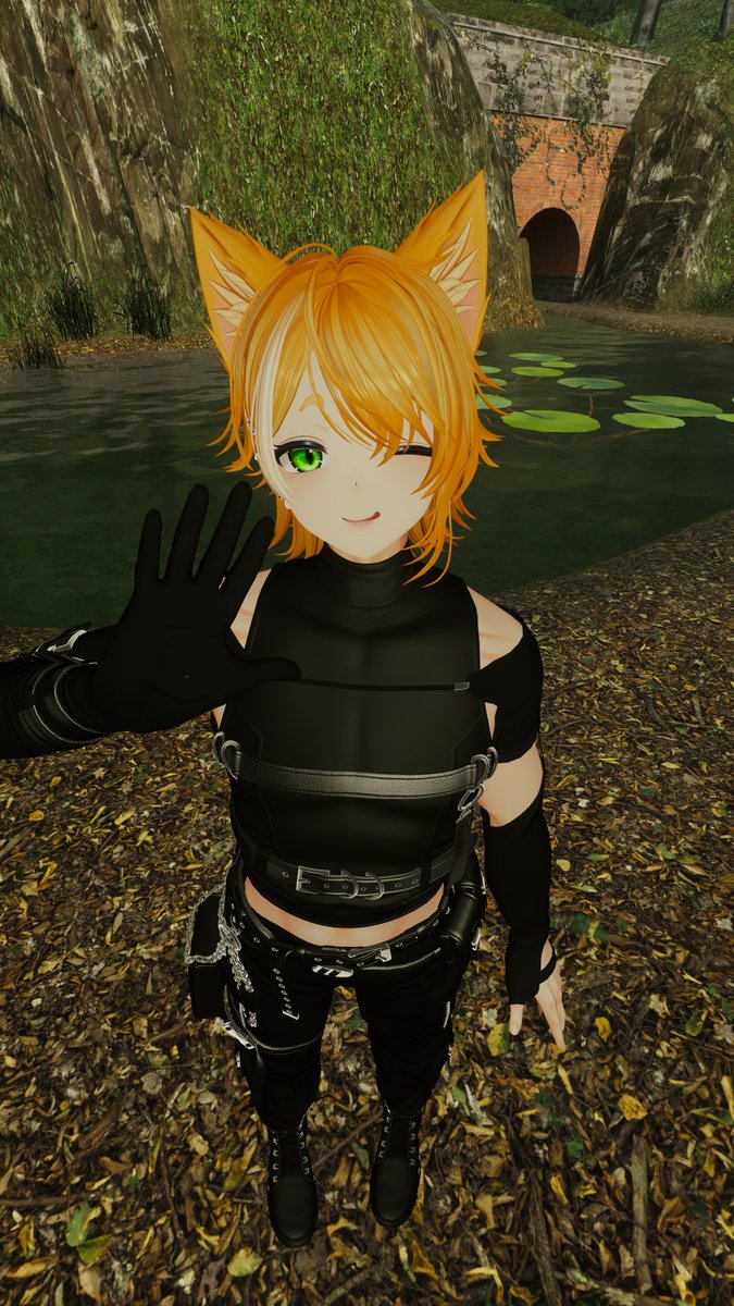 Black Rabbit tweet media