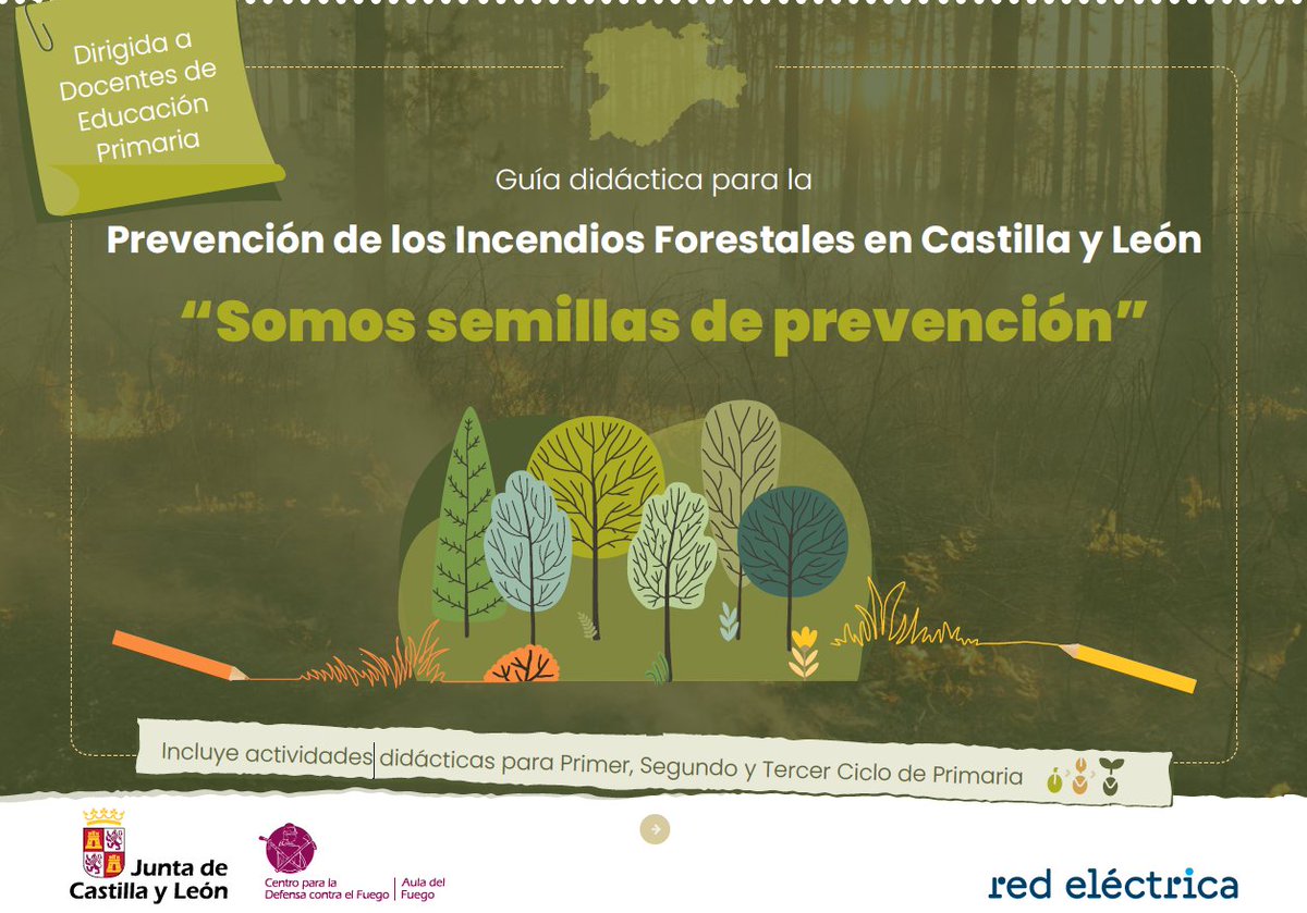 IDForestal tweet media