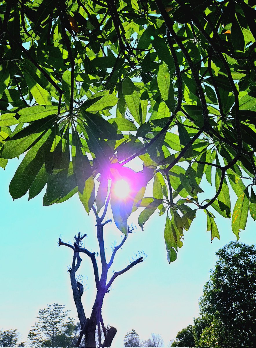 khj_heneciatwt's tweet image. 