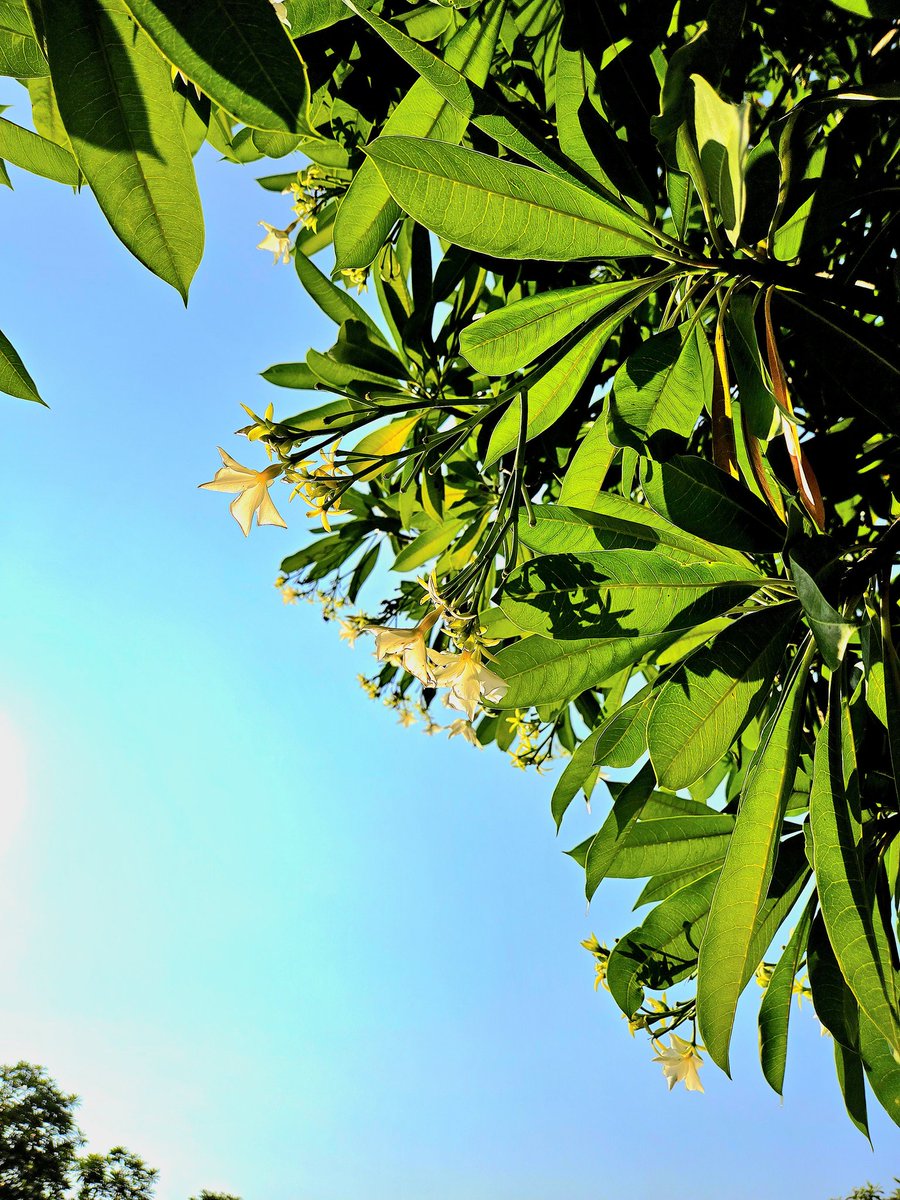 khj_heneciatwt's tweet image. 