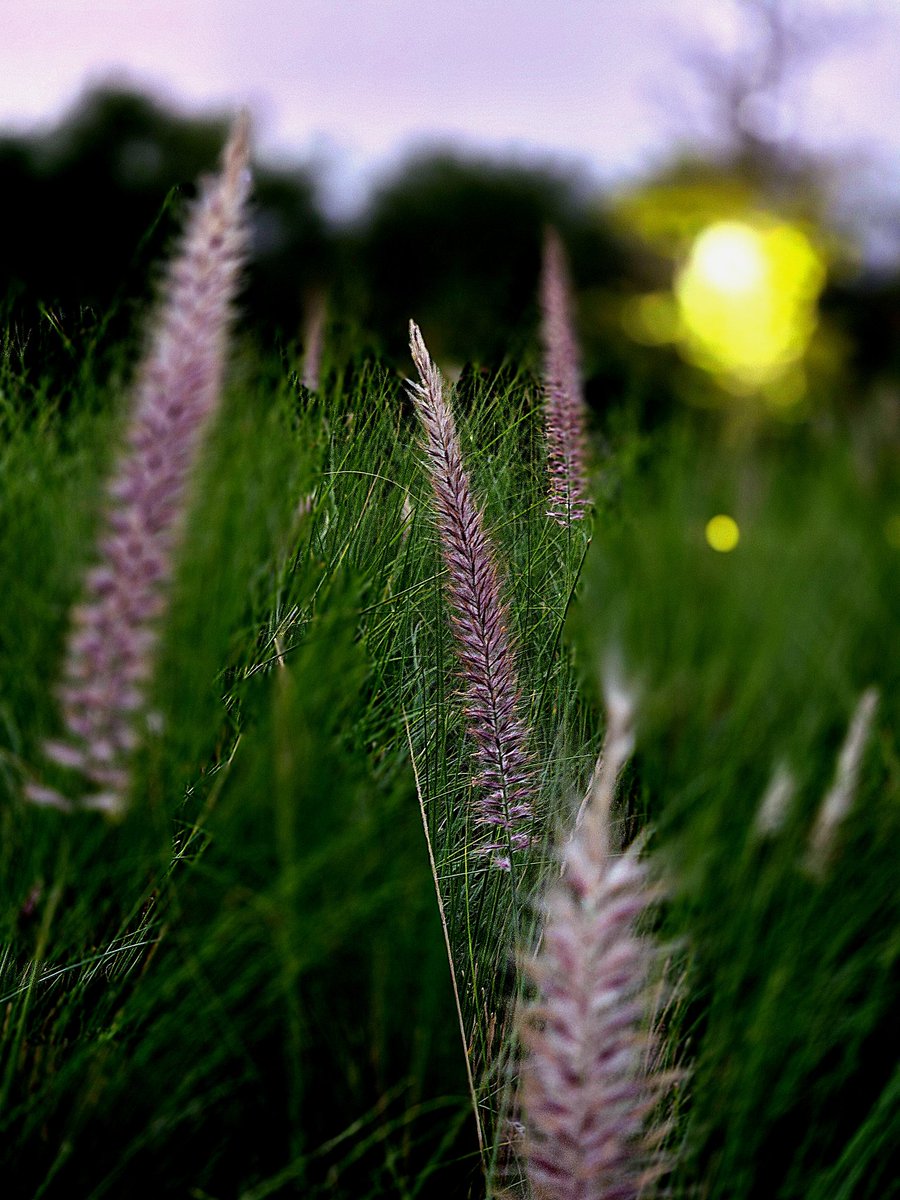 khj_heneciatwt's tweet image. 