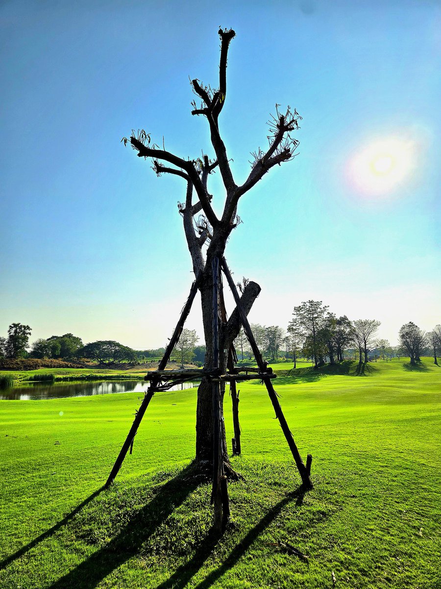 khj_heneciatwt's tweet image. 