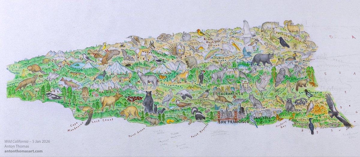 AntonThomasMaps's tweet photo. Progress on Wild California. I love drawing this map – California has such an incredible geography, and I really like the oblique angle. https://t.co/ocHQSewCAp