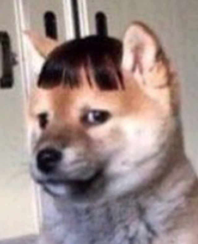 entao fiz franja né