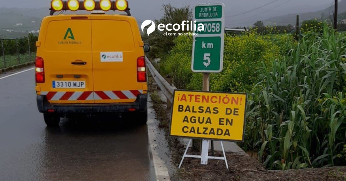 Las lluvias ponen a prueba las infraestructuras. En #Ecofilia aplicamos soluciones sostenibles para la gestión del agua en carreteras: mejora de drenajes, estabilidad del terreno y respeto ambiental, clave para infraestructuras más seguras.

#GestiónDelAgua #ConservaciónViaria
