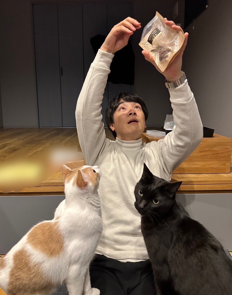 猫用オヤツを持った時だけノリノリで集合する現金なやつら。