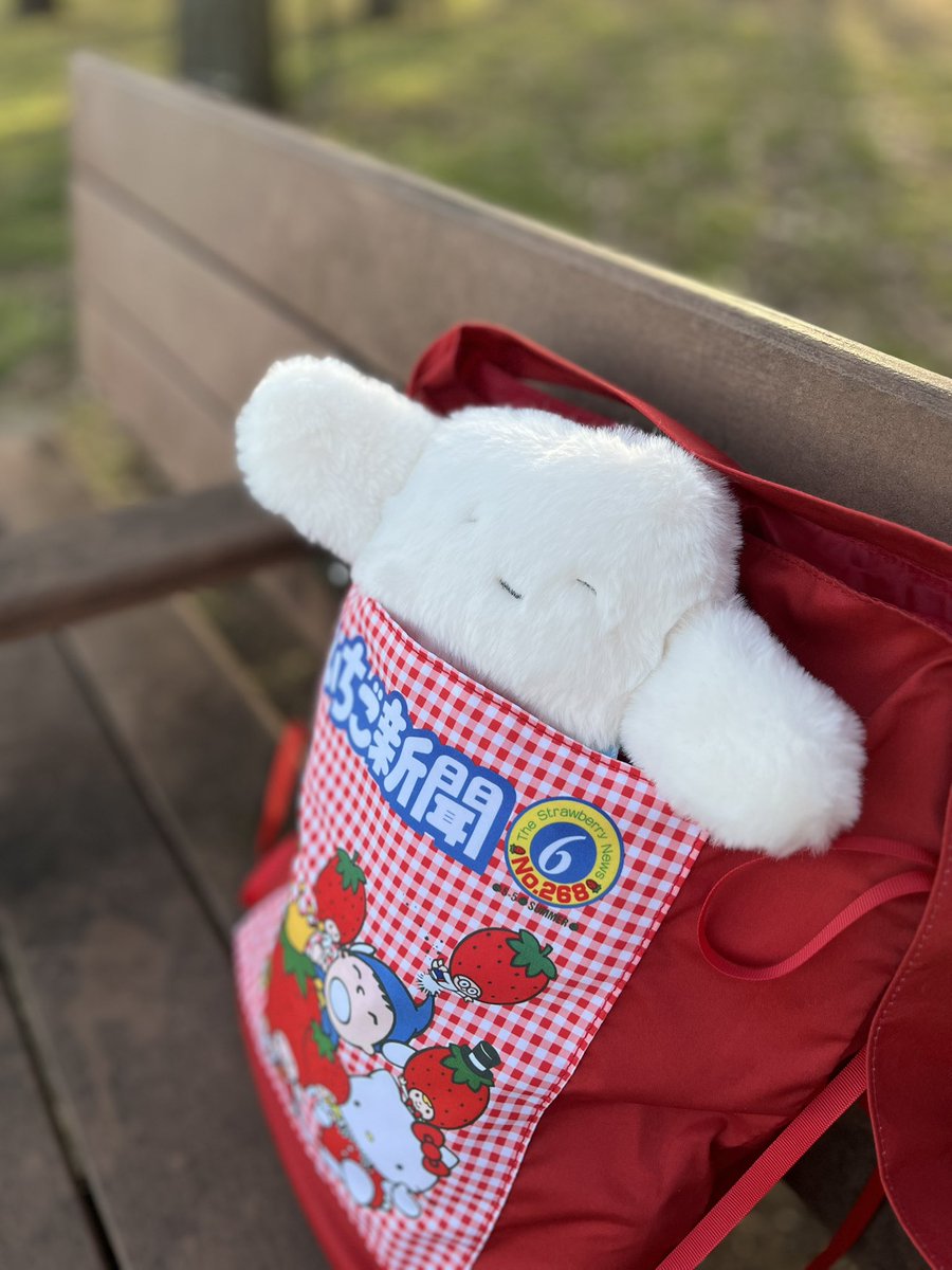 かきもちくん (@kakimochikun) / Posts / X