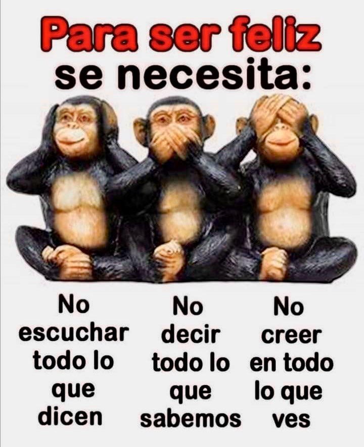 MERCEARBU tweet media