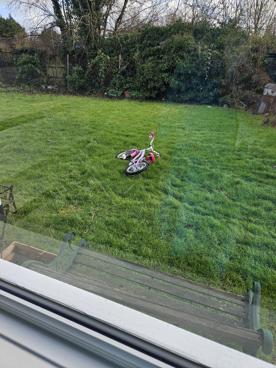 HurricaneHam's tweet image. Ive had 2 coffee and bananana and im still dead on my feets.

Ild love to just go back to sleep.. but 1st i need this children that is haunting the yard to shut the fuck up with the screaming and slamming doors.

Not pictured.  Someone else kids.m