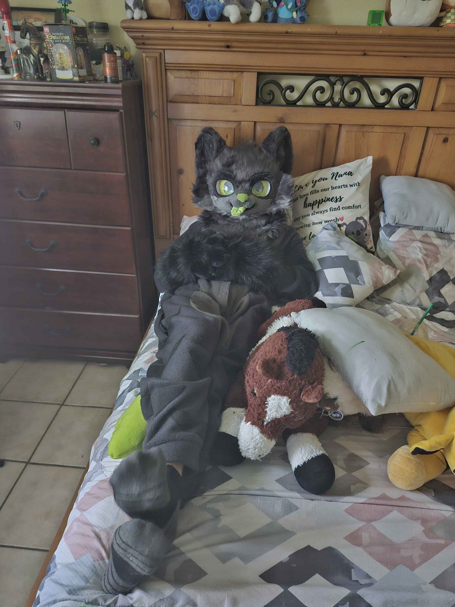 Mr_Chibi7's tweet image. #FursuitFriday #furryfandom #furry
Happy Fursuit Friday, may your dreams be full of beans!