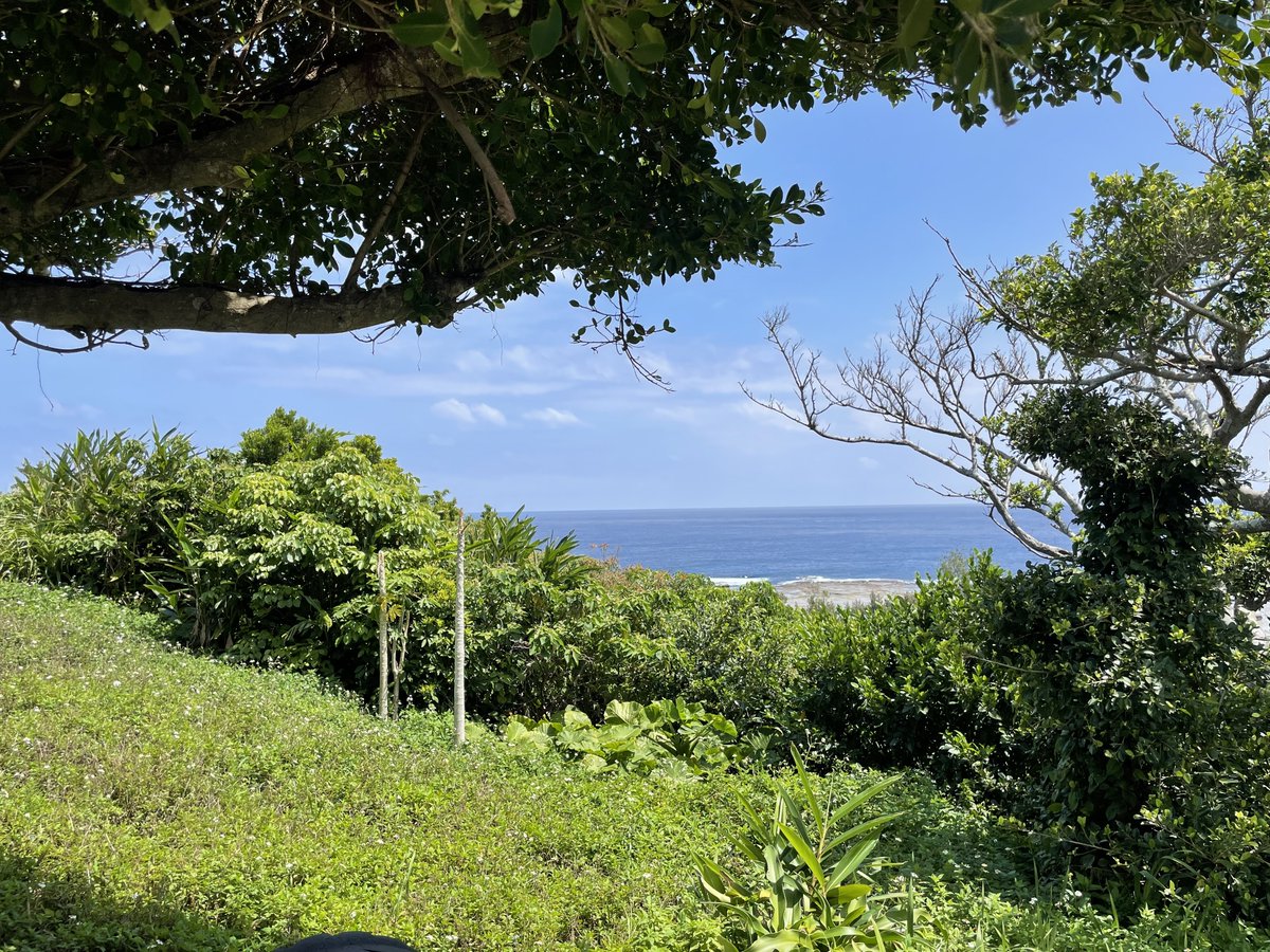 桑原憂貴｜アンド  @kuwabarayuki_ - Twitter Profile | TwStalker