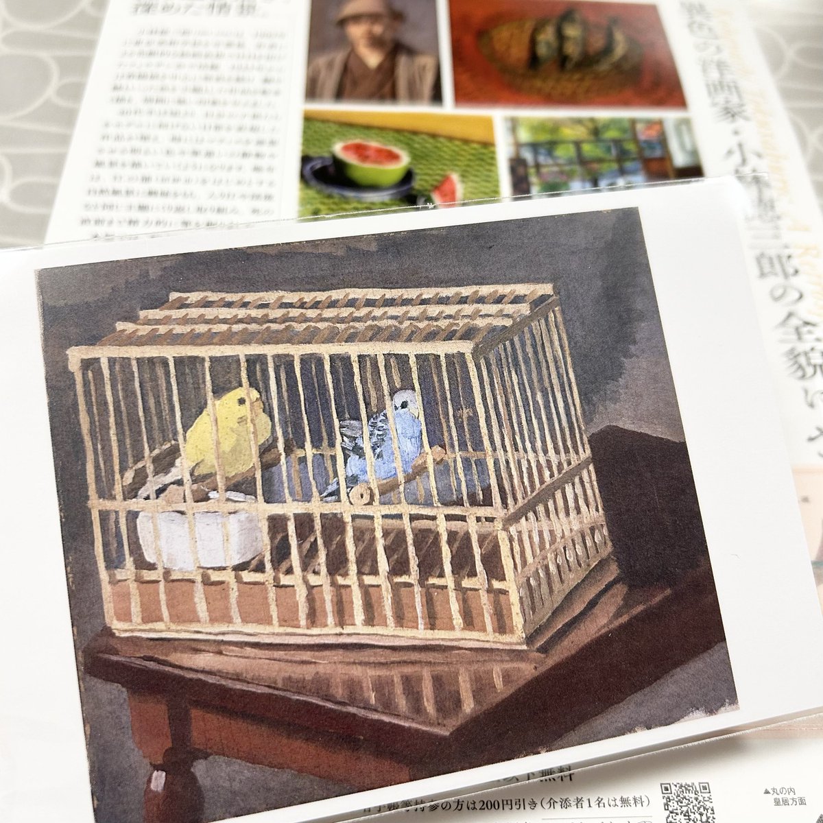 東京ステーションギャラリーで開催中の、小林徳三郎の回顧展へ。
あたたかみのある素敵な絵画に囲まれ、心が満たされました。
「鳥籠」のセキセイインコが可愛くて、ポストカードを買ってしまった。