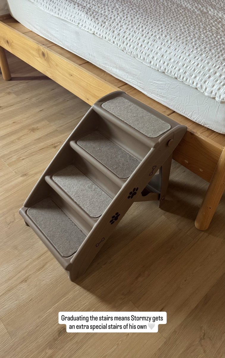 NiallHarbison's tweet image. Can we take a moment to appreciate Stormzy’s new owners… 

🎃 Recreating the happy Doggo food we serve so he feels at home 

🥹 They bought him little steps so he can come up the human bed 

Something tells me he’s gonna be just fine there for life ❤️