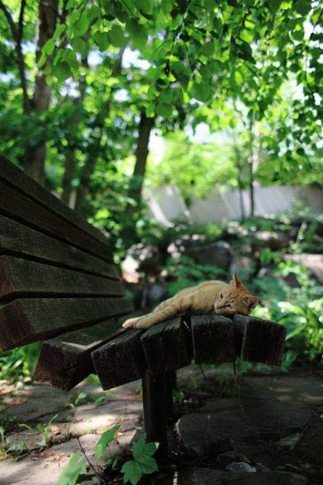 uskoro stiže leto!!!