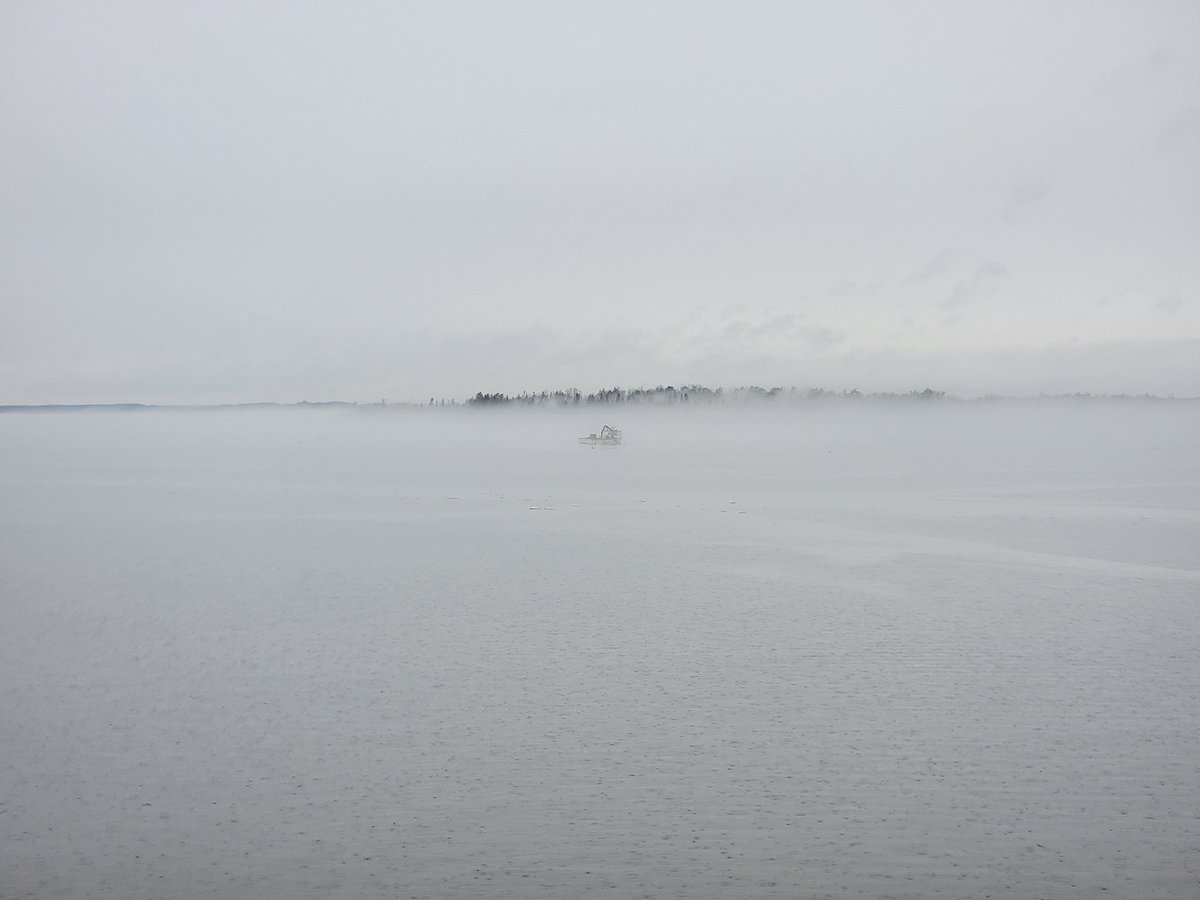 Morgan Therien (@mindreader_pei) on Twitter photo 