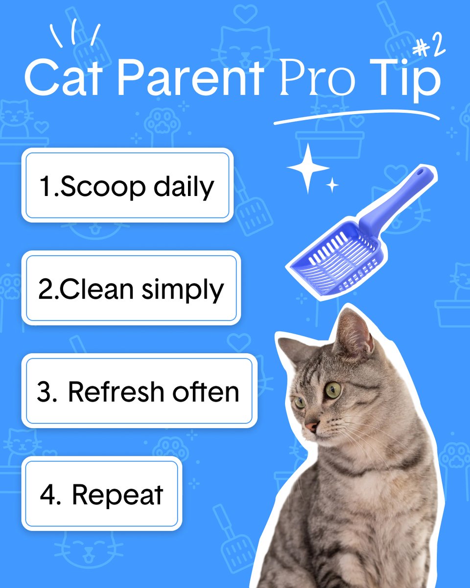 HelloBoxiecat's tweet image. Let us know in the comments which have worked best for you 👇