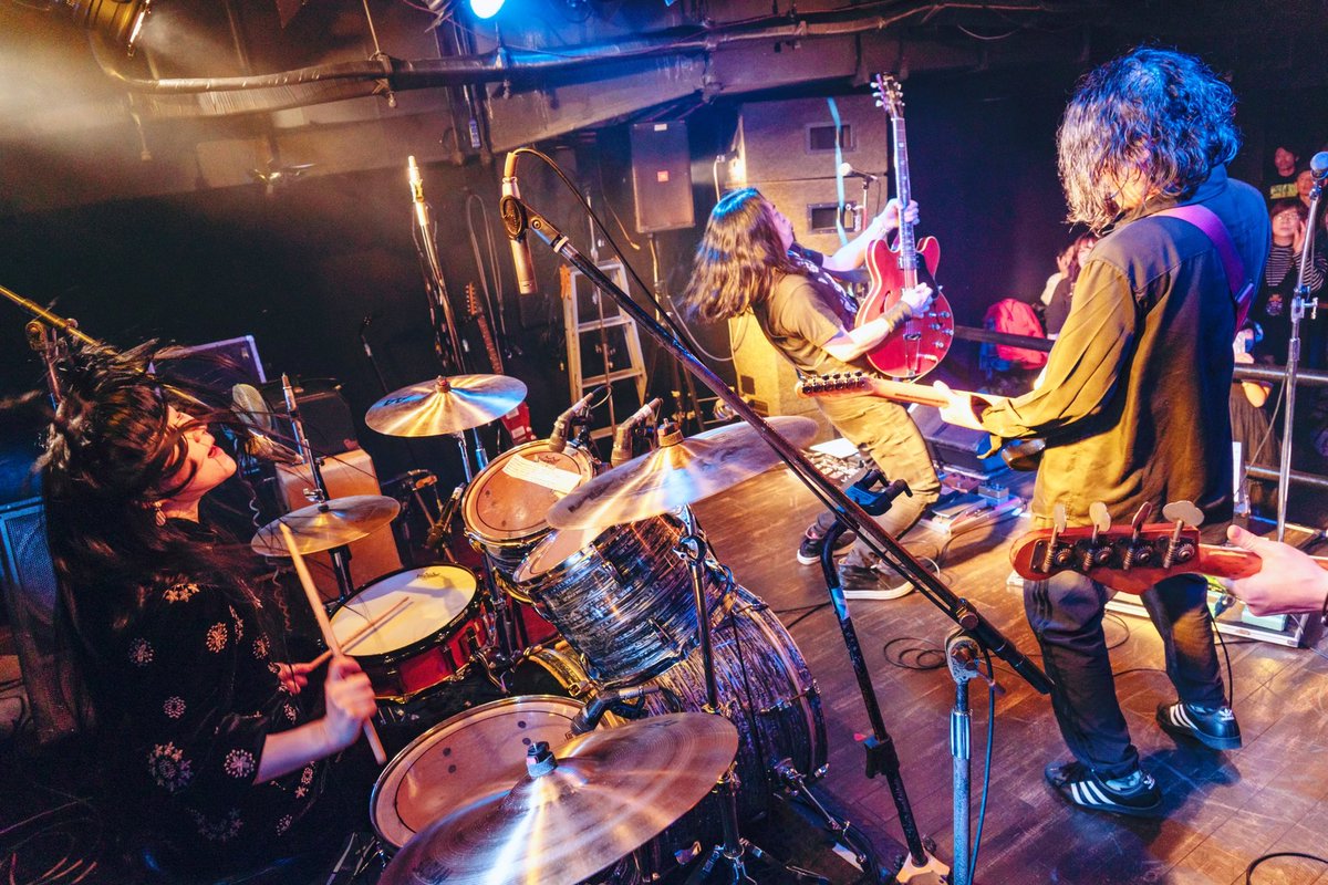 先日のガムフェスではじめましてのカメラマンのカシワギアトリさんにお写真撮っていただきました！ありがとうございます🦚