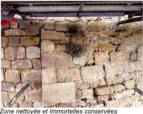 heritiers83's tweet photo. Début des phases 2–4 au Castellas : la cristallisation du site révèle de nouveaux vestiges (réseaux hydrauliques anciens, maçonneries inédites); le site reste interdit au public jusqu’à la fin des travaux (printemps 2027). https://t.co/A8EacfoCyP