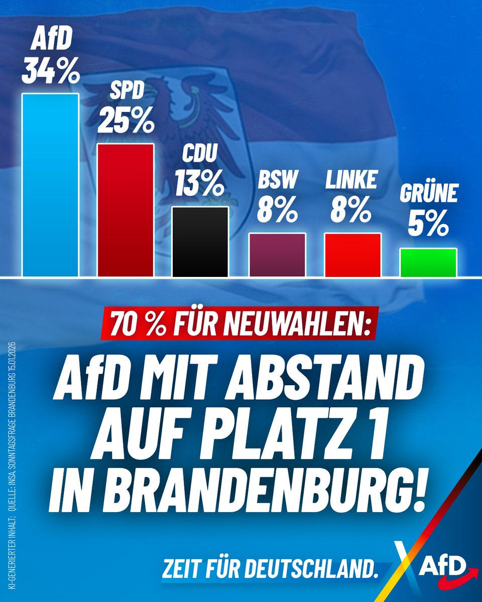 AfD tweet media