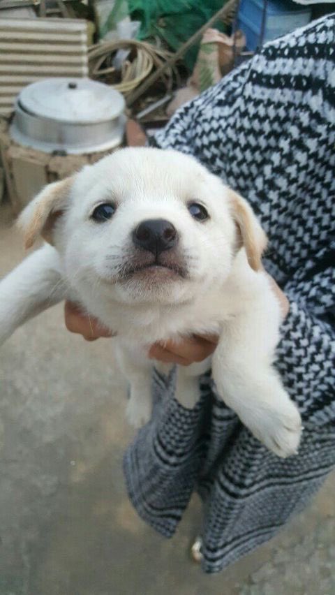 ronly_qr2's tweet image. 응?