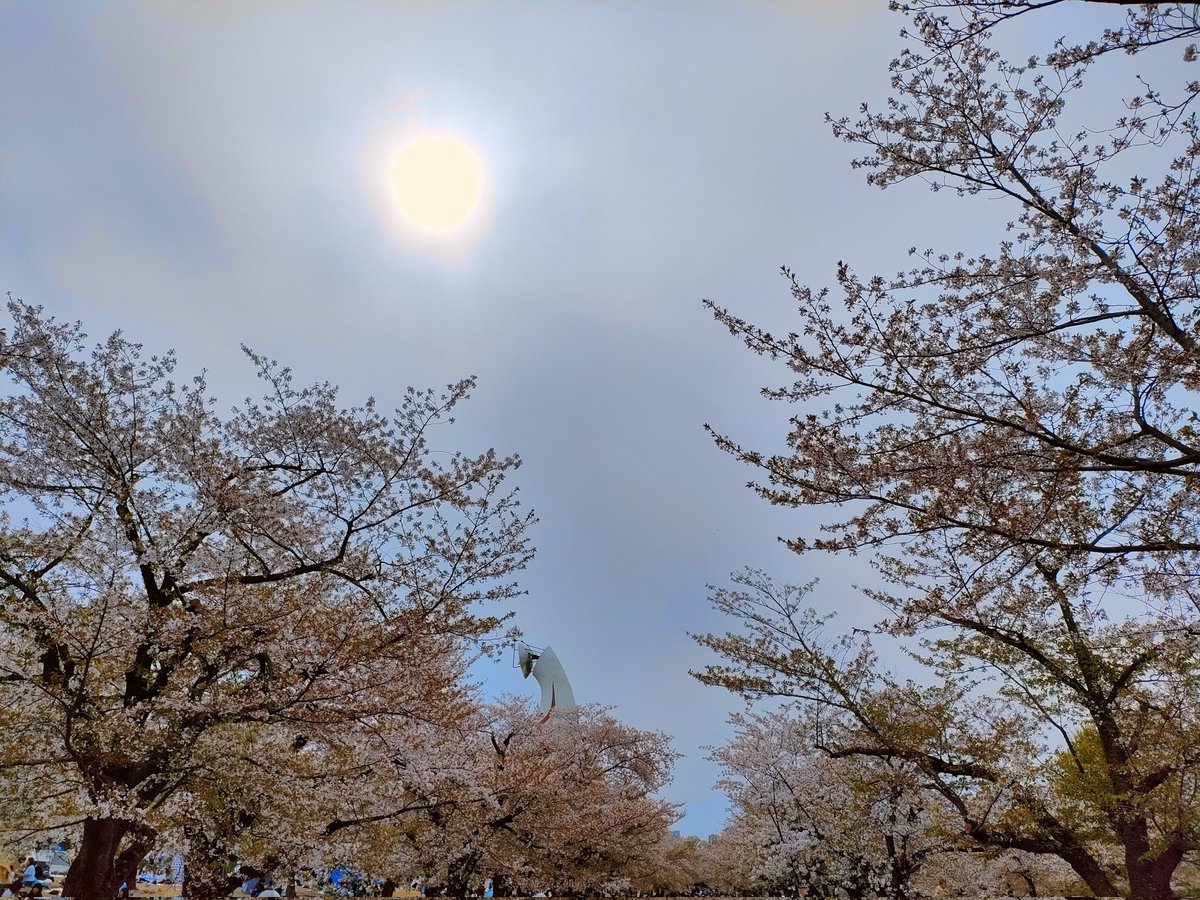 🅗🅘🅡🅞🦁🟠 tweet media