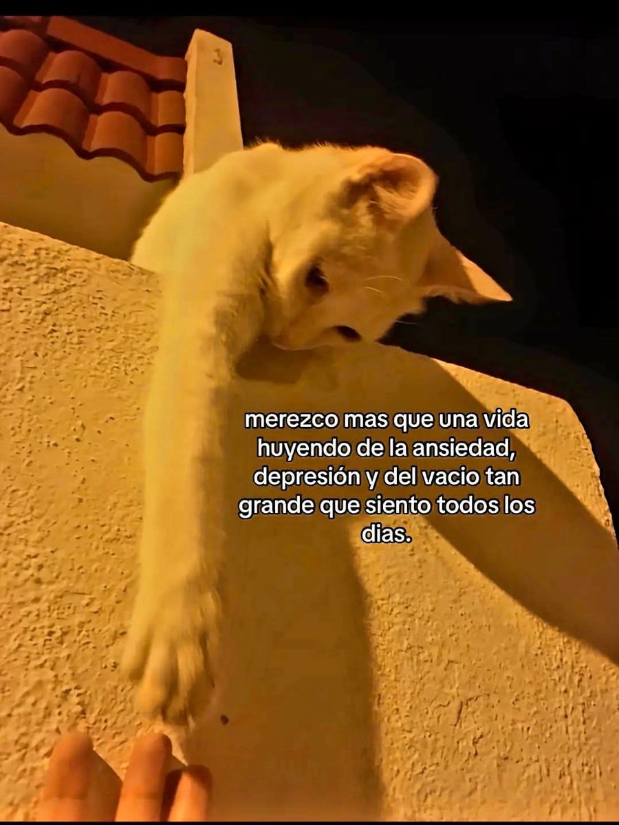 Lonely🥀 (@angelo_uf) on Twitter photo 