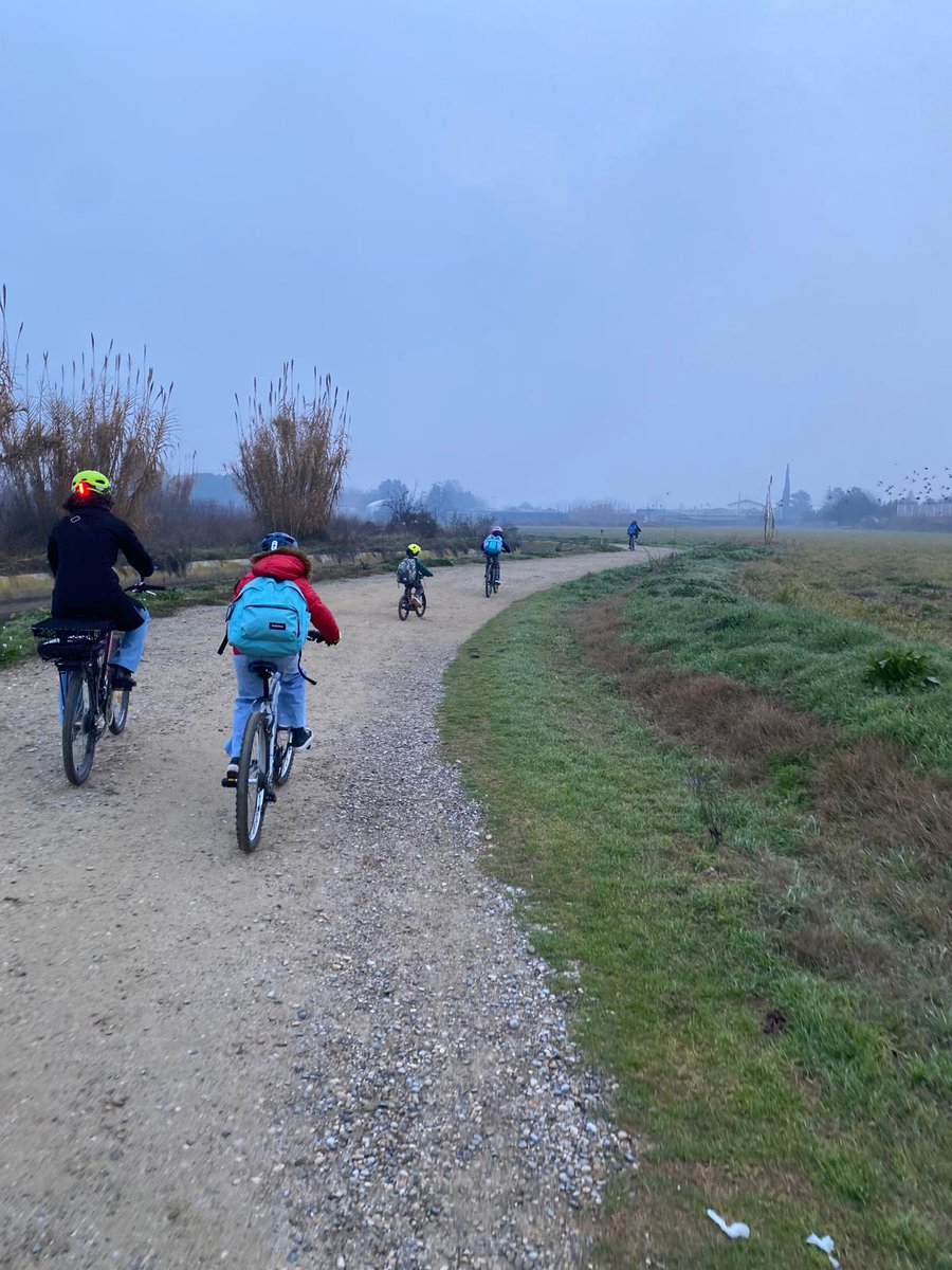 Definició de persistència: bicibús escola Espiga de Lleida. 

Definició de ignorar: <a href="/paerialleida/">Ajuntament de Lleida</a>