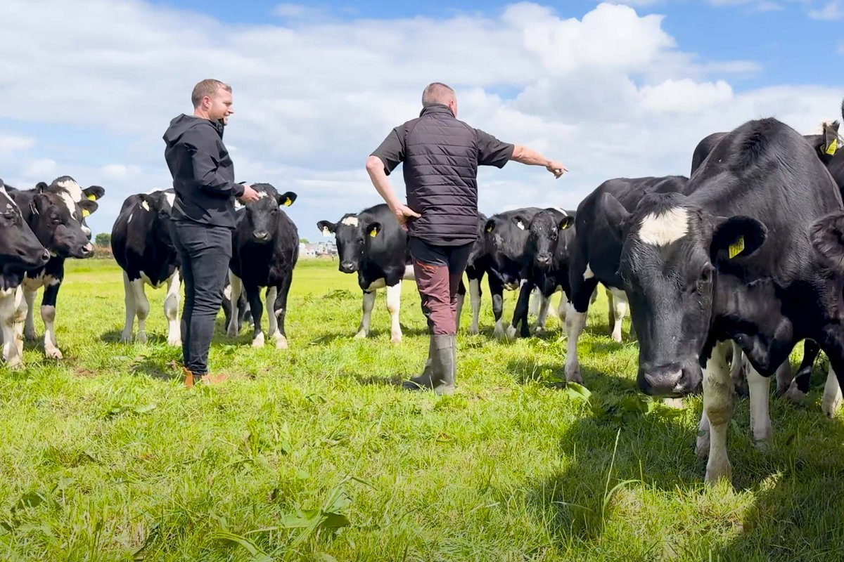 Grasstec Ltd tweet media