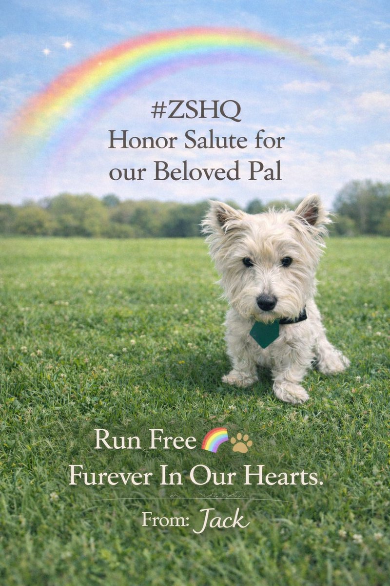 🐾 Jack 🧨 🌈🐾🩵💖💛🧡💚💙 tweet media