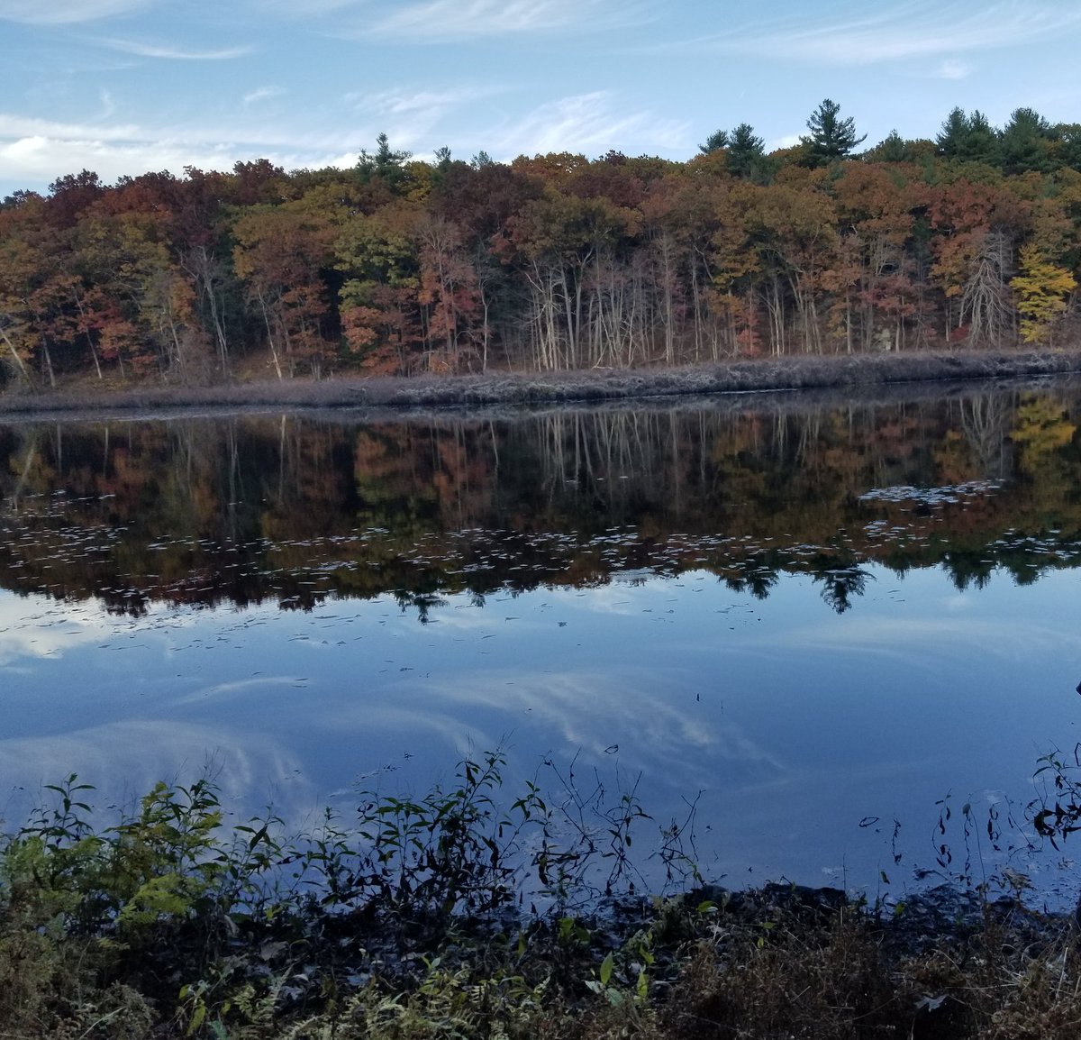 "A river, with its waterfalls and meadows, a lake, a hill, a cliff or individual rocks, a forest, and ancient trees standing singly... such things educate far more than any hired teachers or preachers, or any at present recognized system of school education." -Thoreau, Journal
