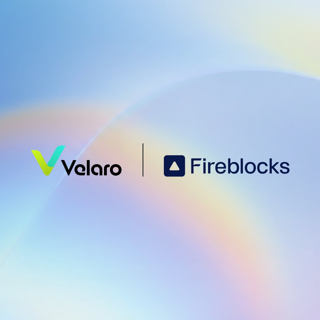 Velaro Network tweet media