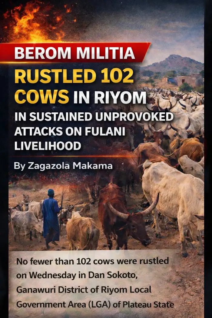 ZagazOlaMakama's tweet image. Berom Militia rustled 102 cows in Riyom in sustained unprovoked attacks on Fulani Livelihood 

By: Zagazola Makama 

No fewer than 102 cows were rustled on Wednesday in Dan Sokoto, Ganawuri District of Riyom Local Government Area (LGA) of Plateau State, in what residents…