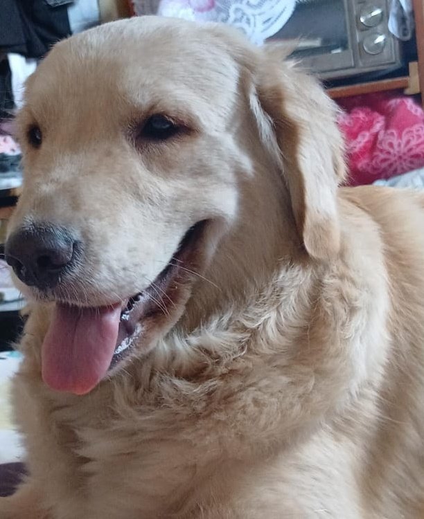 Feliz viernes para todos 🙋🏻‍♂️