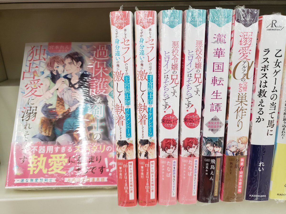 専用】10月新刊 エタニティブックス・ルネッタブックス・ヴァニラ文庫