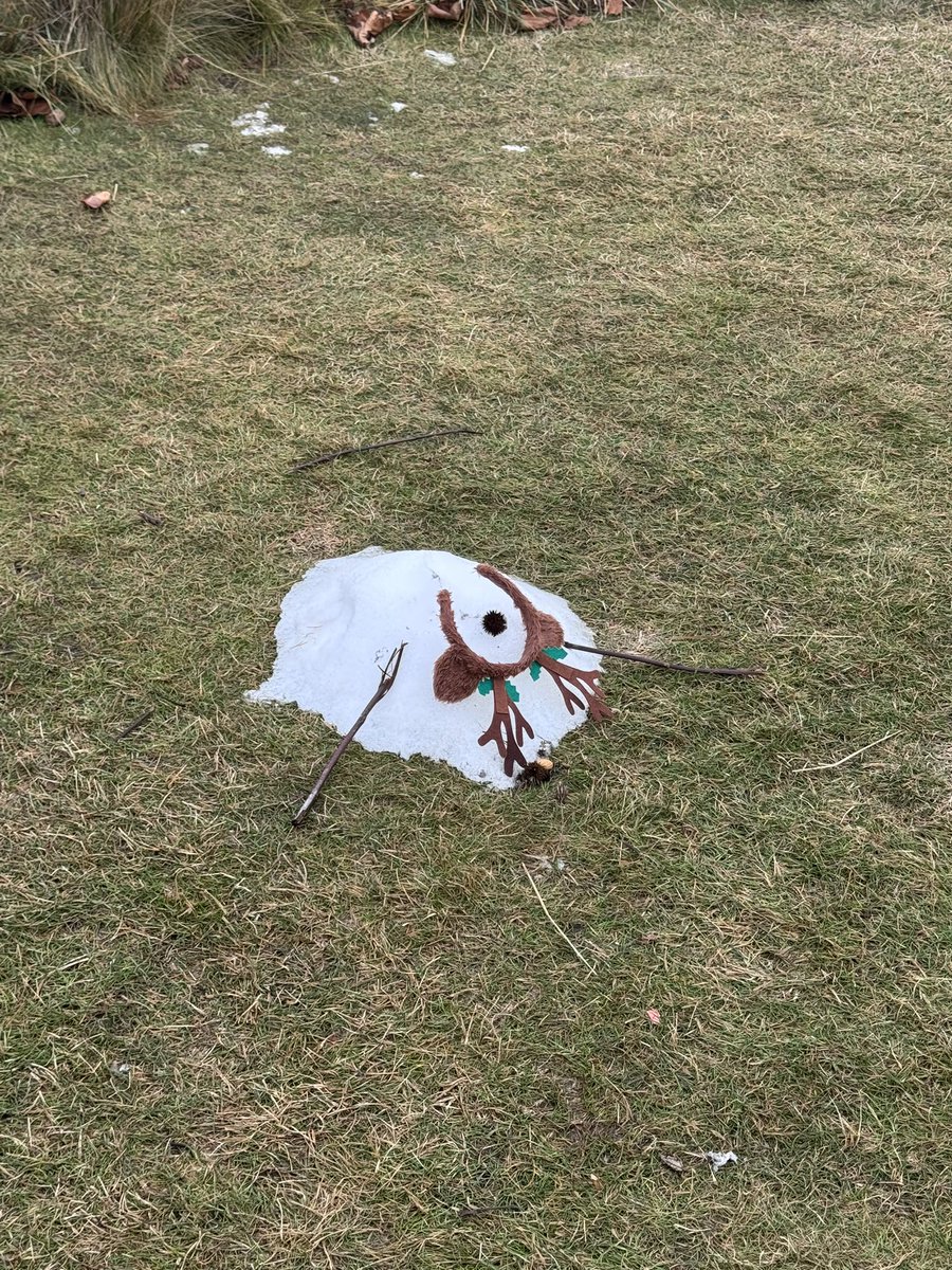 Всё что осталось от оленя 🙂