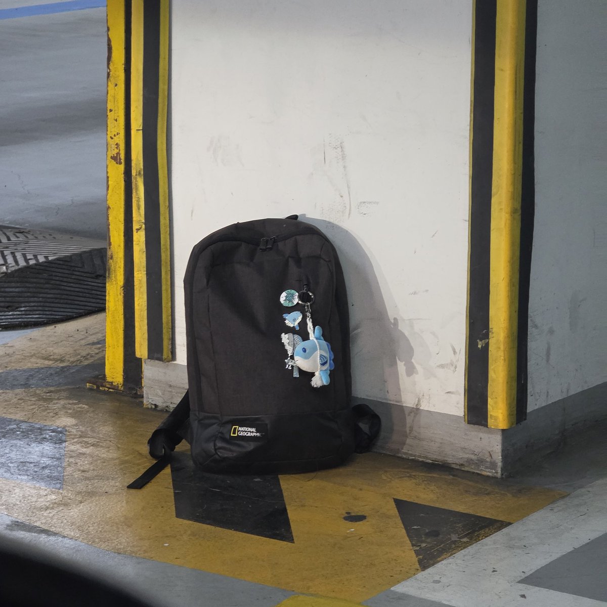 (금일 퇴근길 보러가신 홀릭스분중에 가방 놓고 가신분 아직 덩그러니 있데요 +