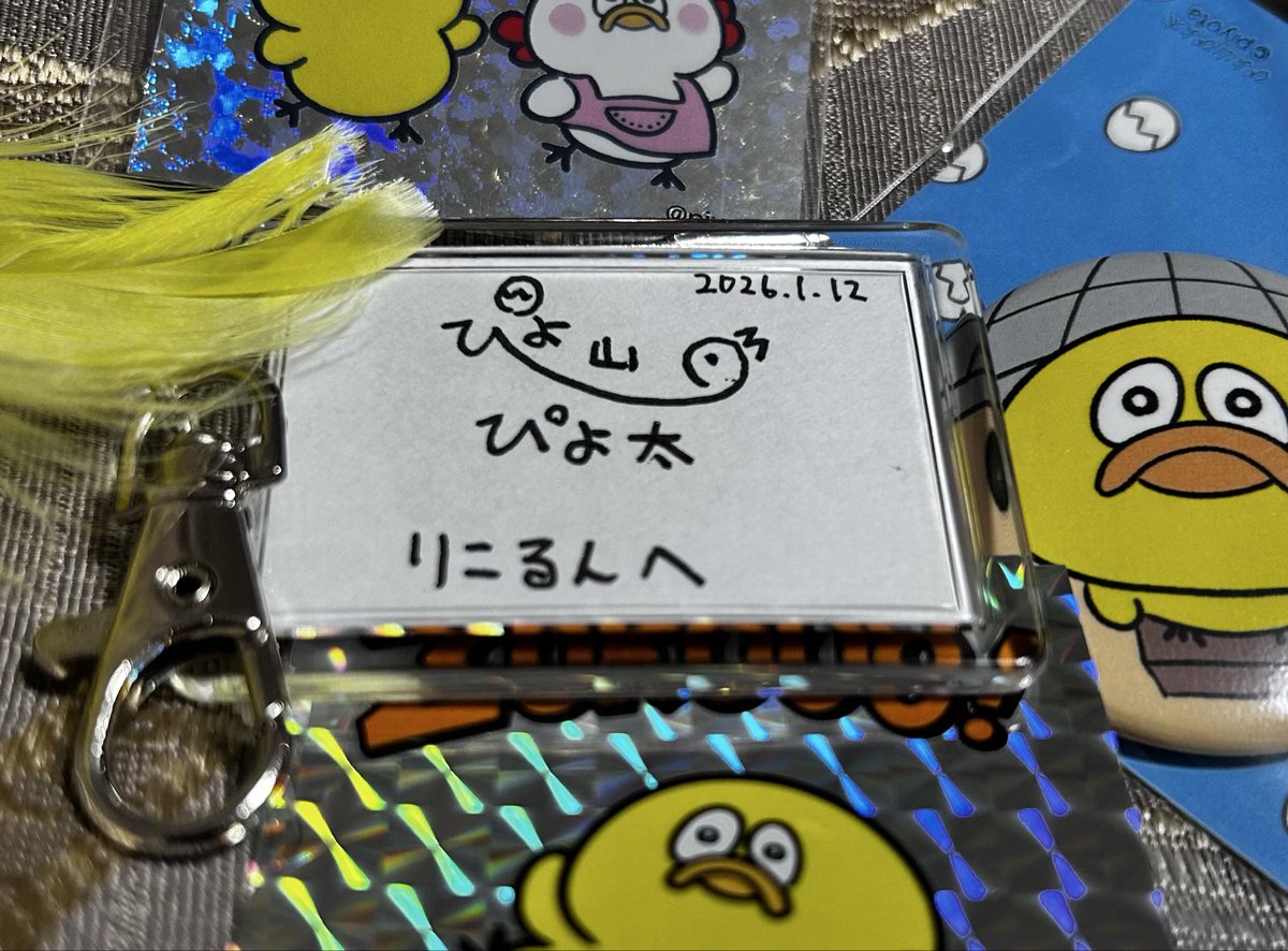 ぴよ山ぴよ太 (@piyo_hiyokoman) / Posts / X