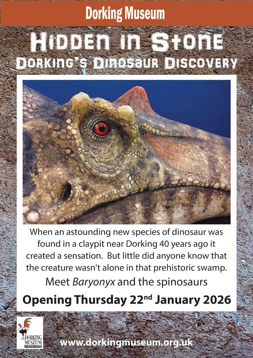 Gostling Evolution and Palaeo Lab 🦖☄️🦤🪽🐦‍⬛🐀🦒 tweet media