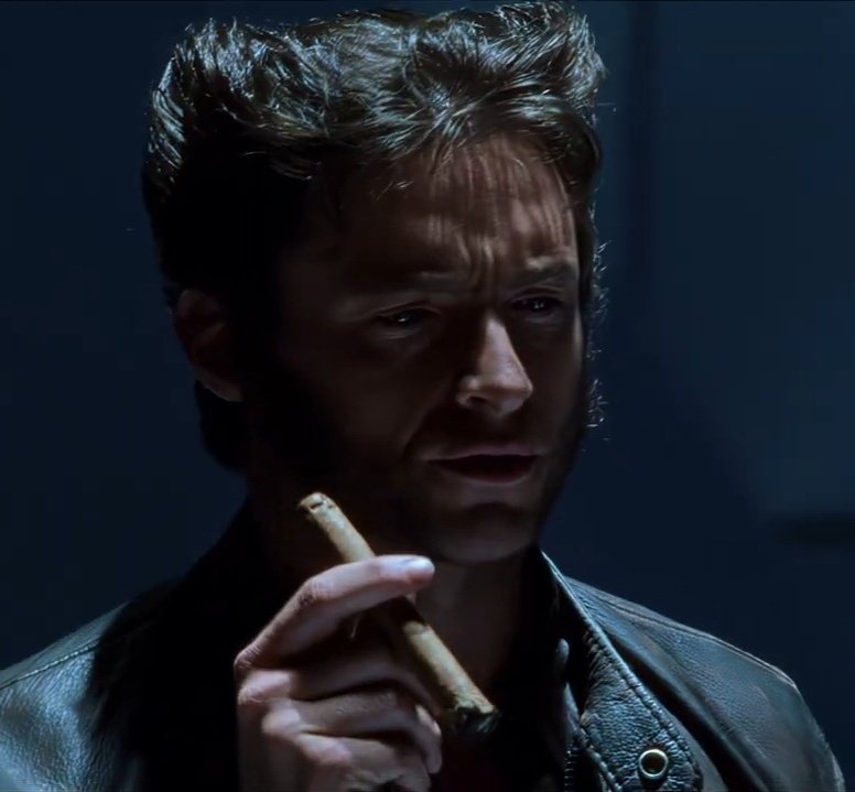 logan's fav cigar ⋆౨ৎ˚ tweet media